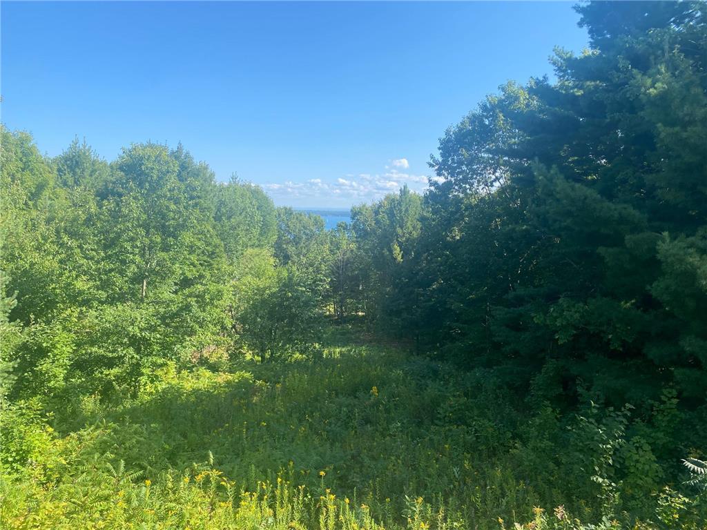 35365 Old Orchard Lane Bayfield WI 54814 7022998 image42