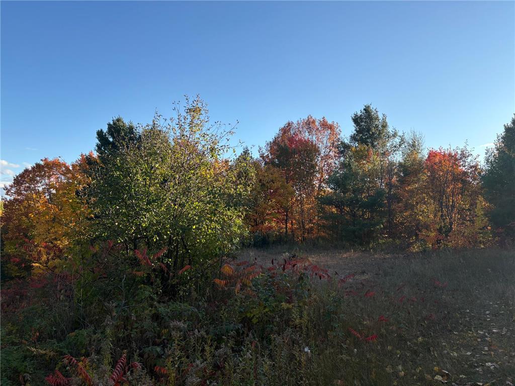 35365 Old Orchard Lane Bayfield WI 54814 7022998 image43