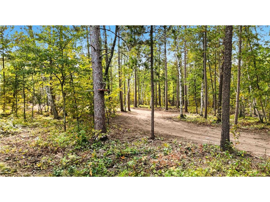 35375 Pine Terrace Road Crosslake MN 56472 6786157 image2