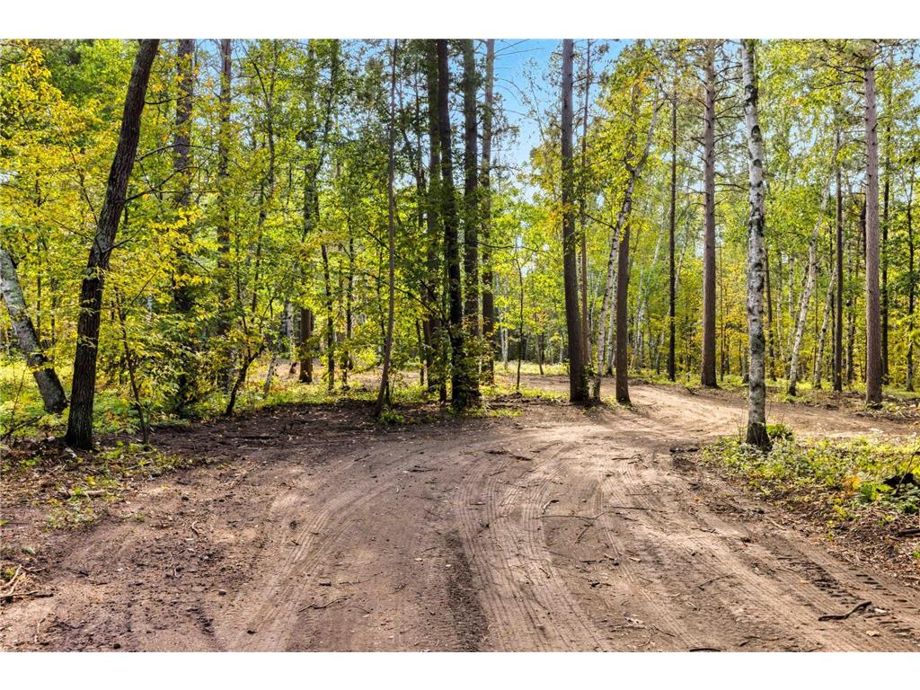 35375 Pine Terrace Road Crosslake MN 56472 6786157 image4