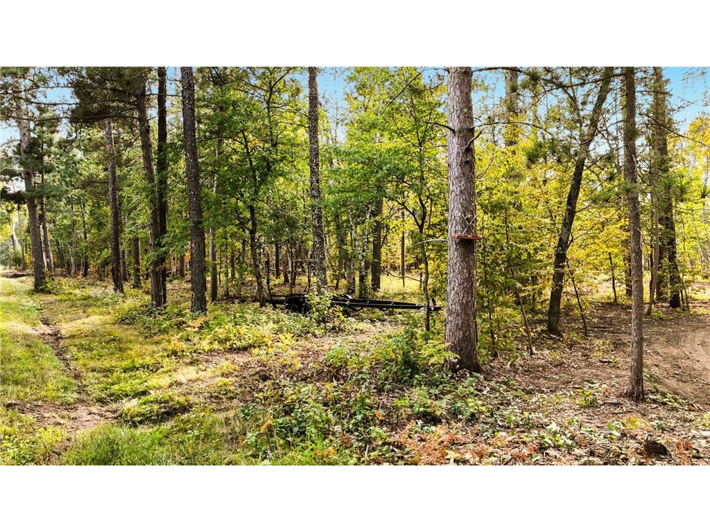 35375 Pine Terrace Road Crosslake MN 56472 6786157 image7