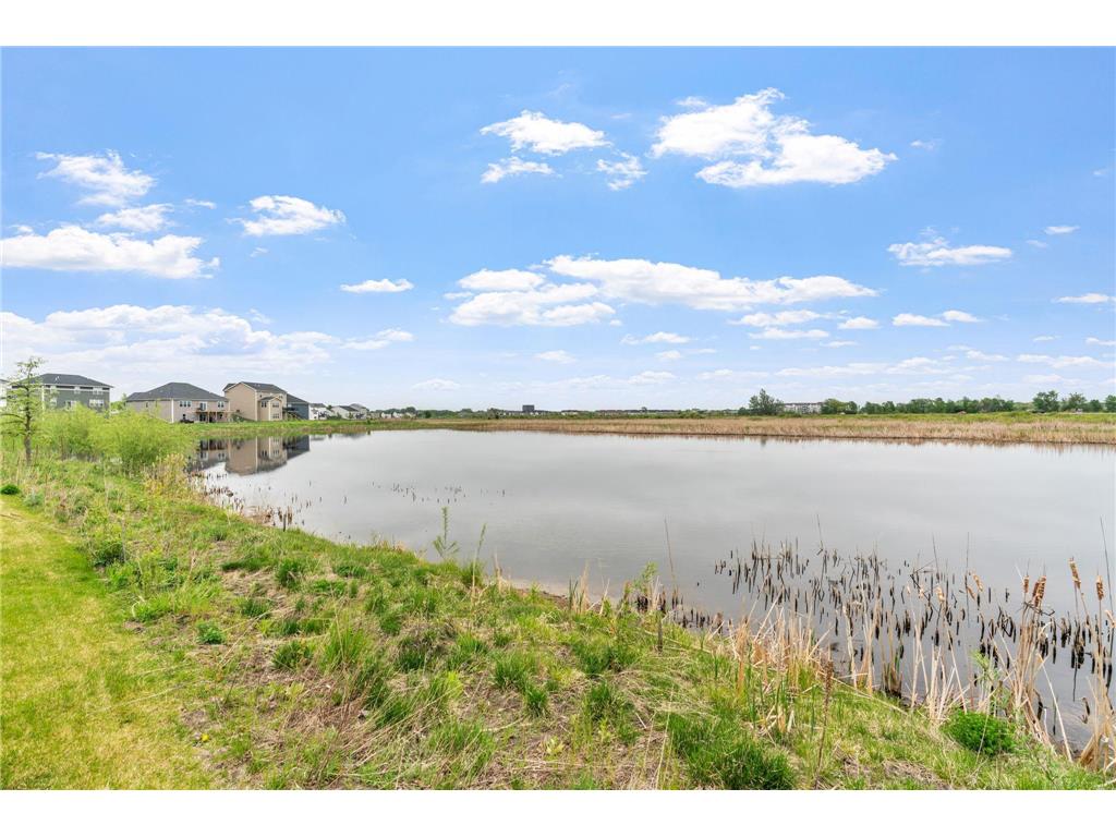 3538 109th Lane NE Blaine MN 55449 7075623 image5