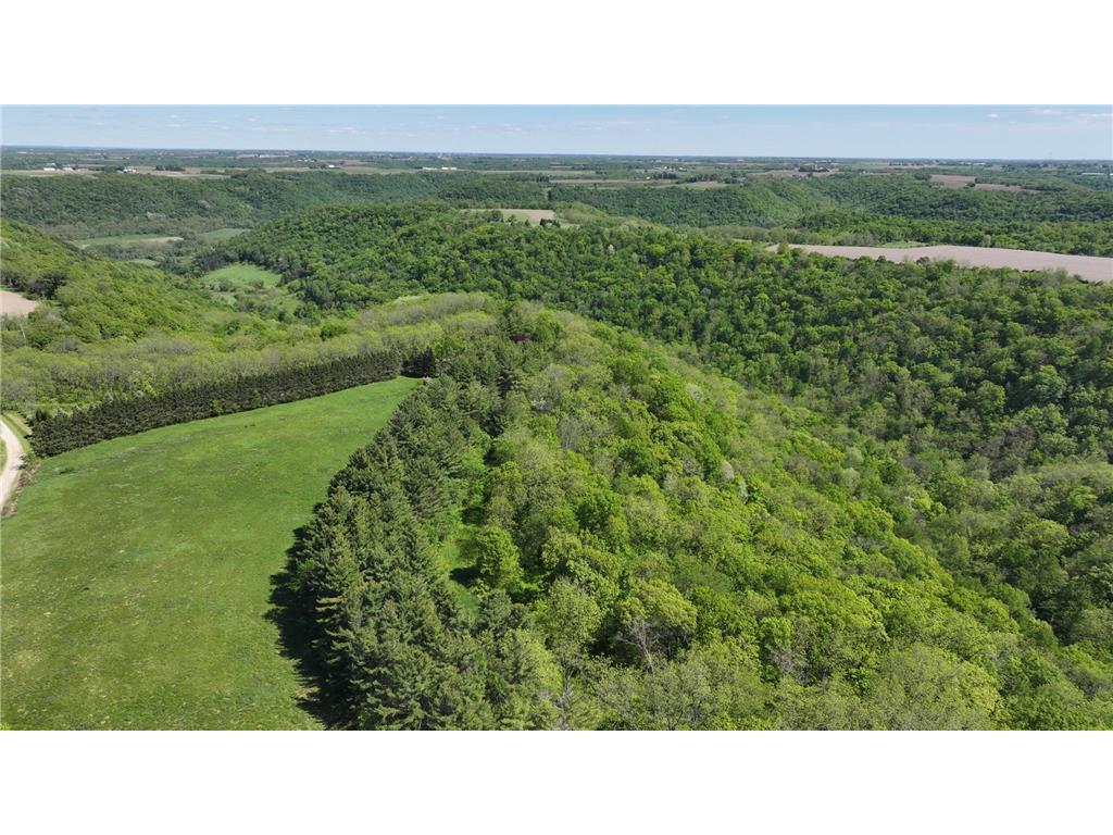 35423 Skyview Drive Homer Twp MN 55987 7066575 image100