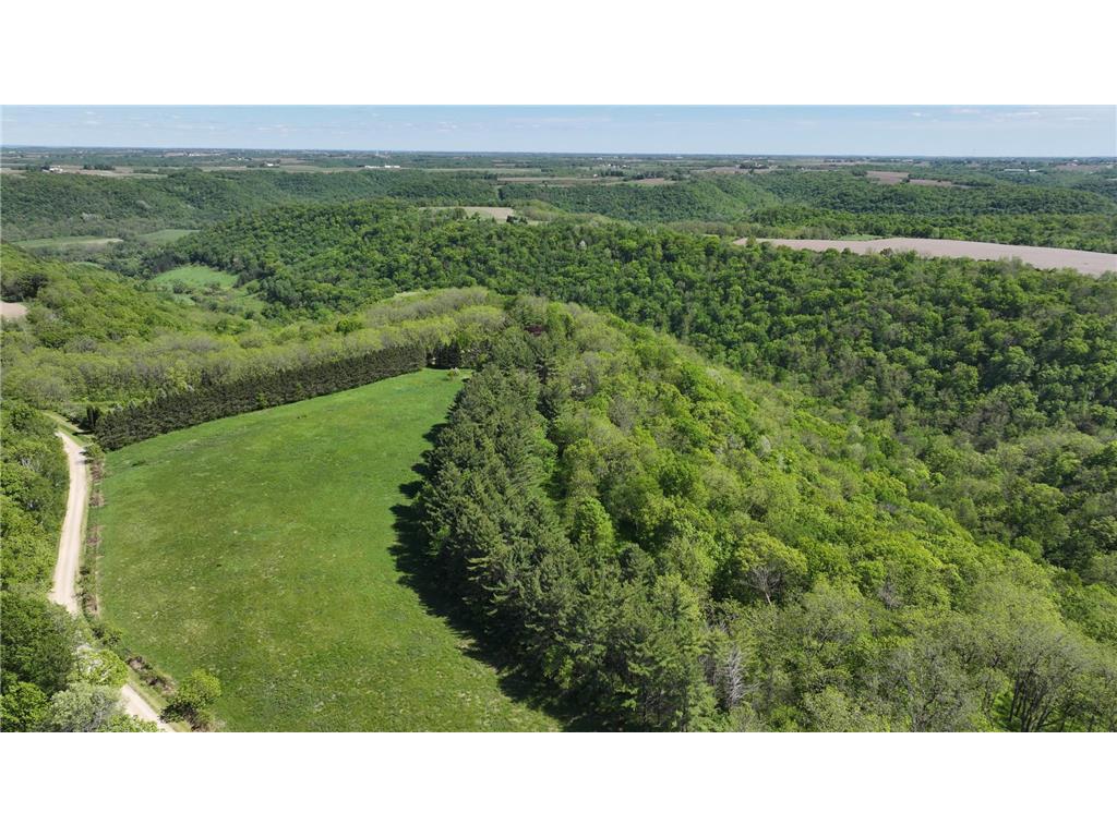 35423 Skyview Drive Homer Twp MN 55987 7066575 image101
