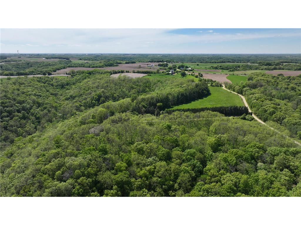 35423 Skyview Drive Homer Twp MN 55987 7066575 image105