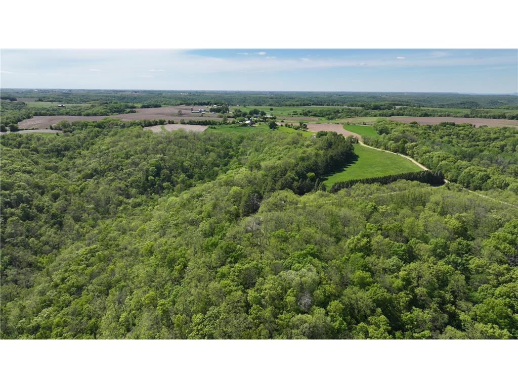 35423 Skyview Drive Homer Twp MN 55987 7066575 image106