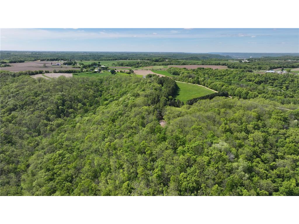 35423 Skyview Drive Homer Twp MN 55987 7066575 image107