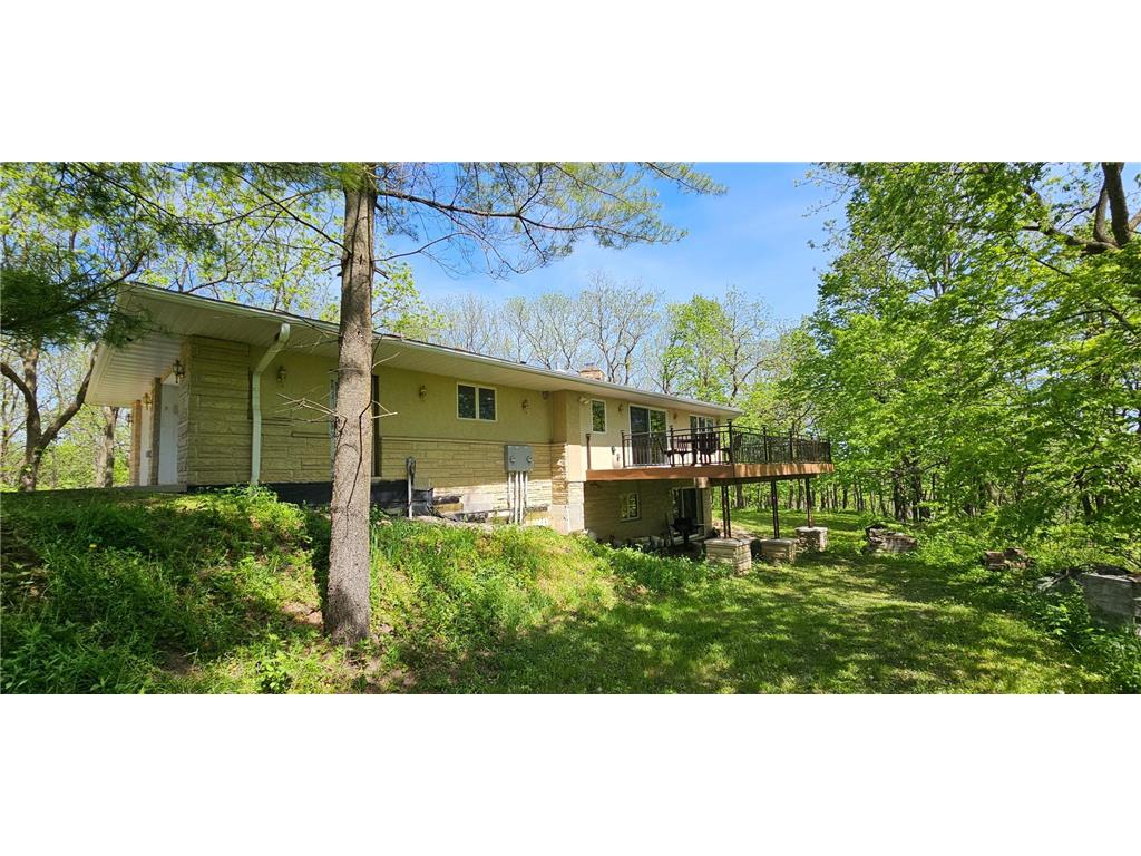 35423 Skyview Drive Homer Twp MN 55987 7066575 image12