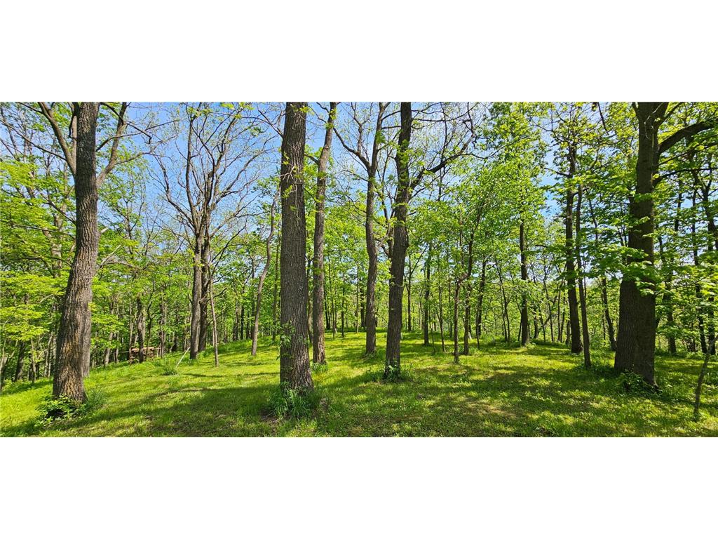 35423 Skyview Drive Homer Twp MN 55987 7066575 image13