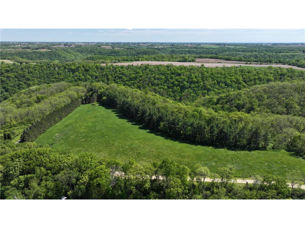 35423 Skyview Drive Homer Twp MN 55987 7066575 image2