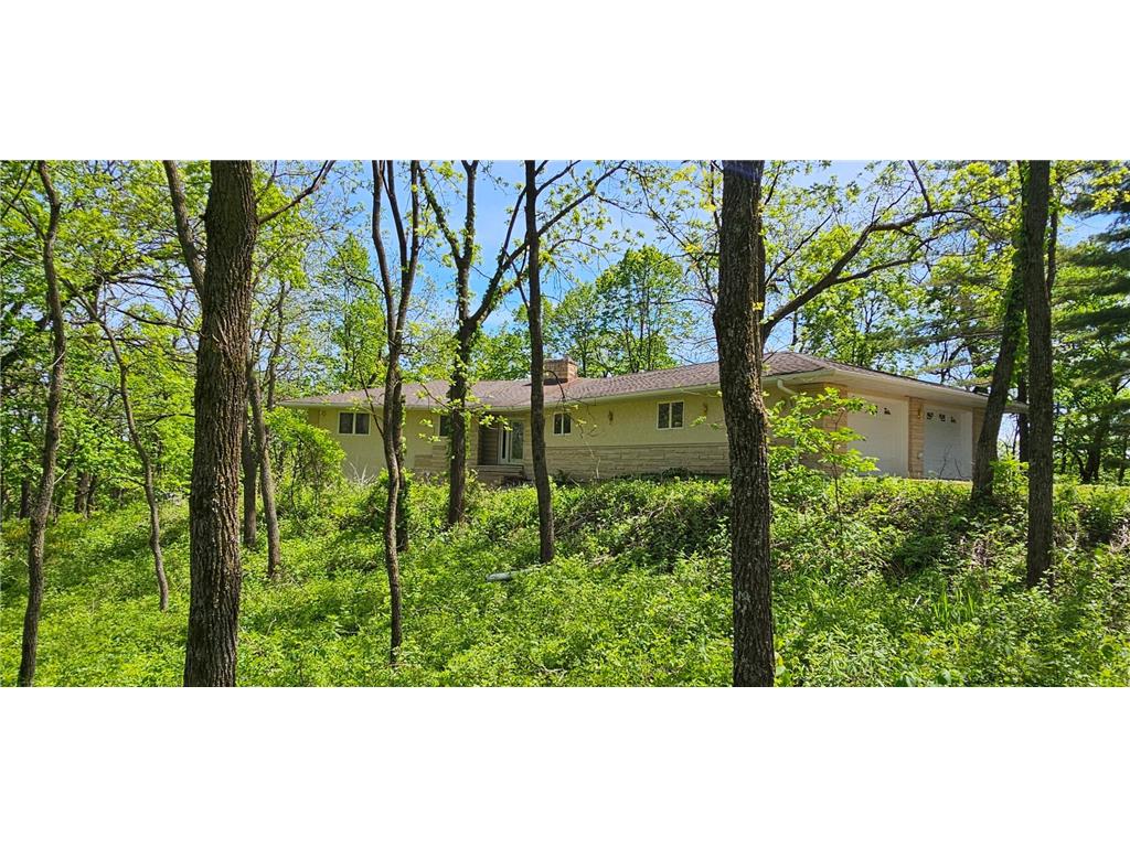 35423 Skyview Drive Homer Twp MN 55987 7066575 image4