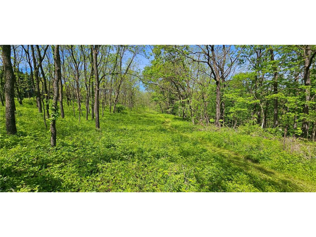 35423 Skyview Drive Homer Twp MN 55987 7066575 image5