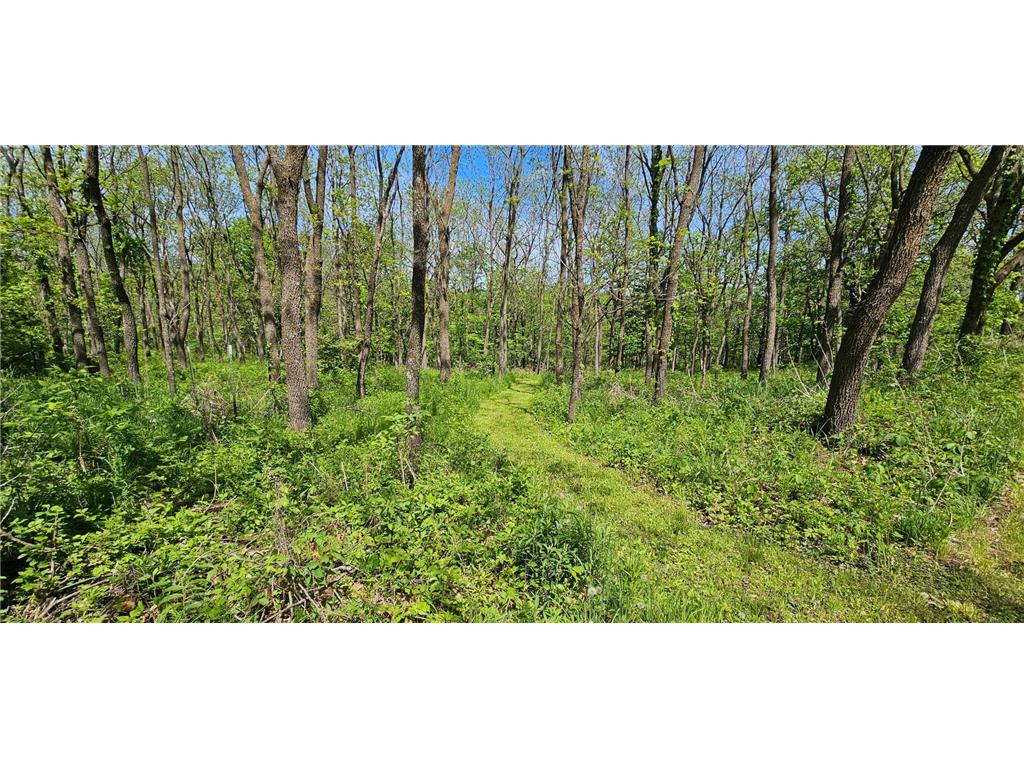 35423 Skyview Drive Homer Twp MN 55987 7066575 image7
