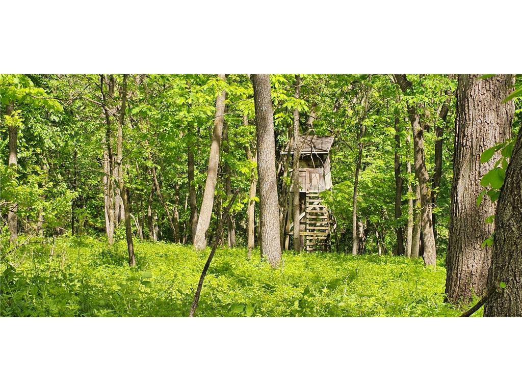 35423 Skyview Drive Homer Twp MN 55987 7066575 image8