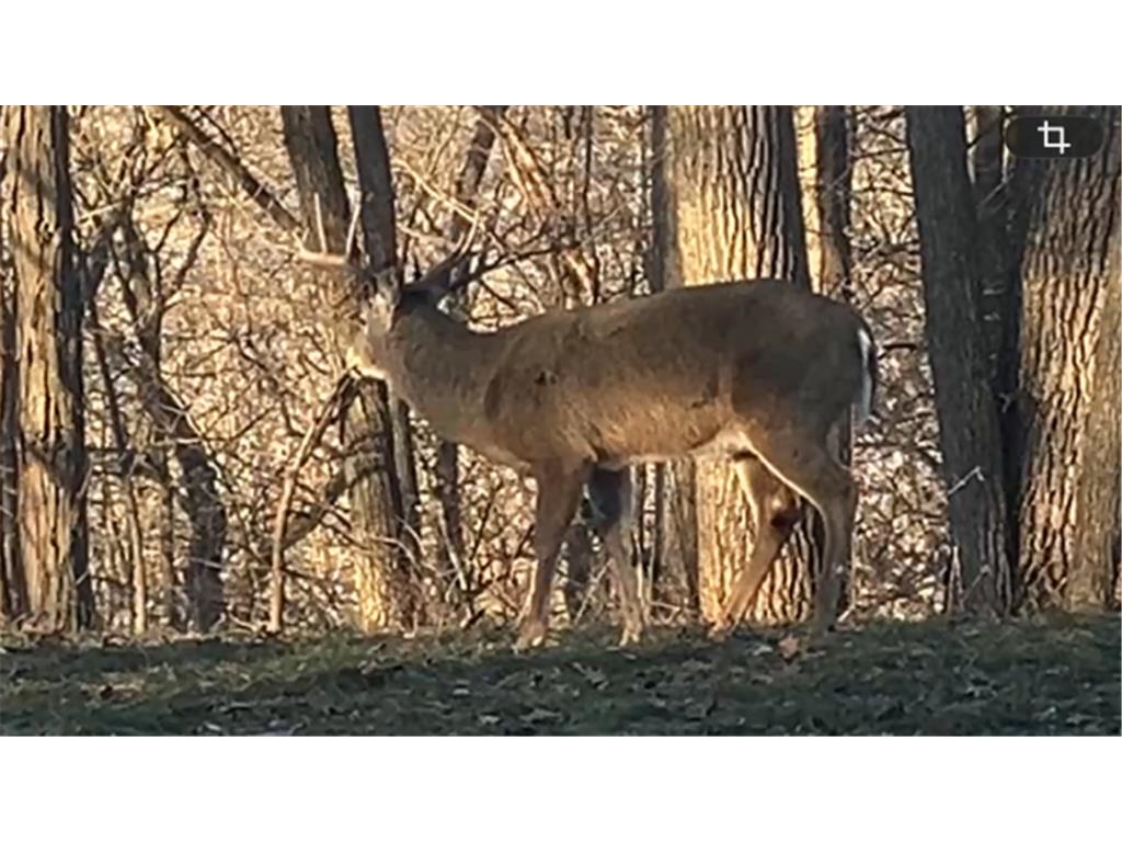 35423 Skyview Drive Homer Twp MN 55987 7066575 image91