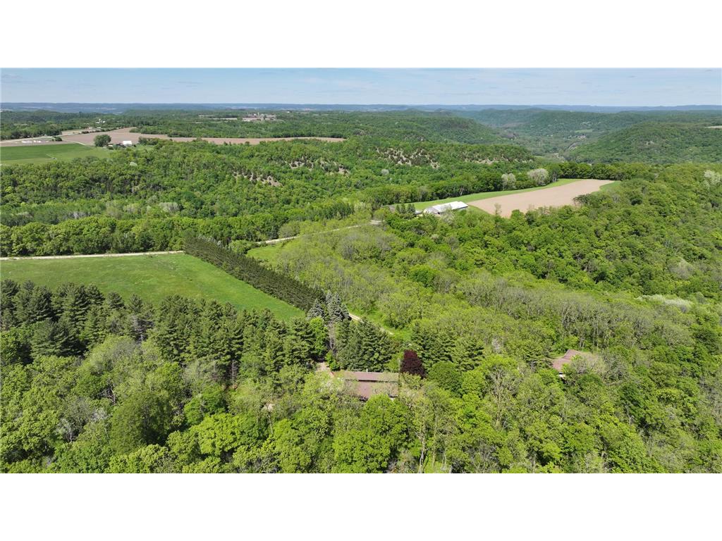 35423 Skyview Drive Homer Twp MN 55987 7066575 image96