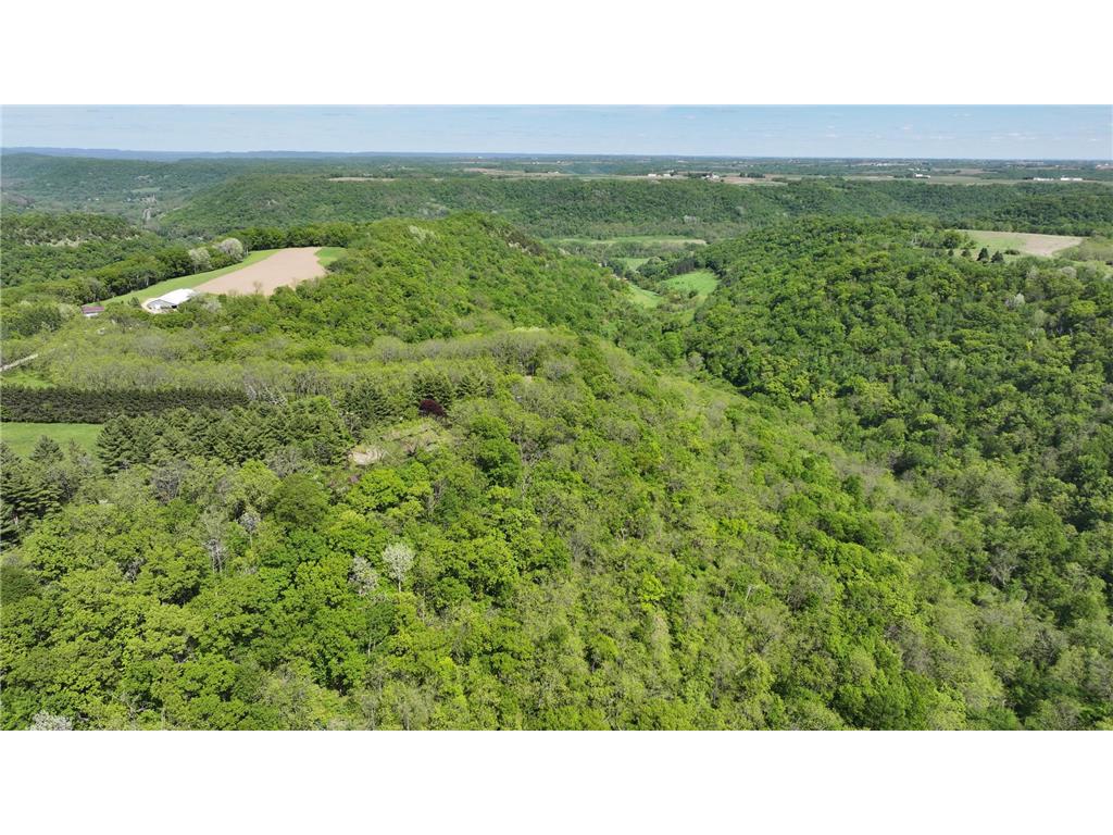 35423 Skyview Drive Homer Twp MN 55987 7066575 image98