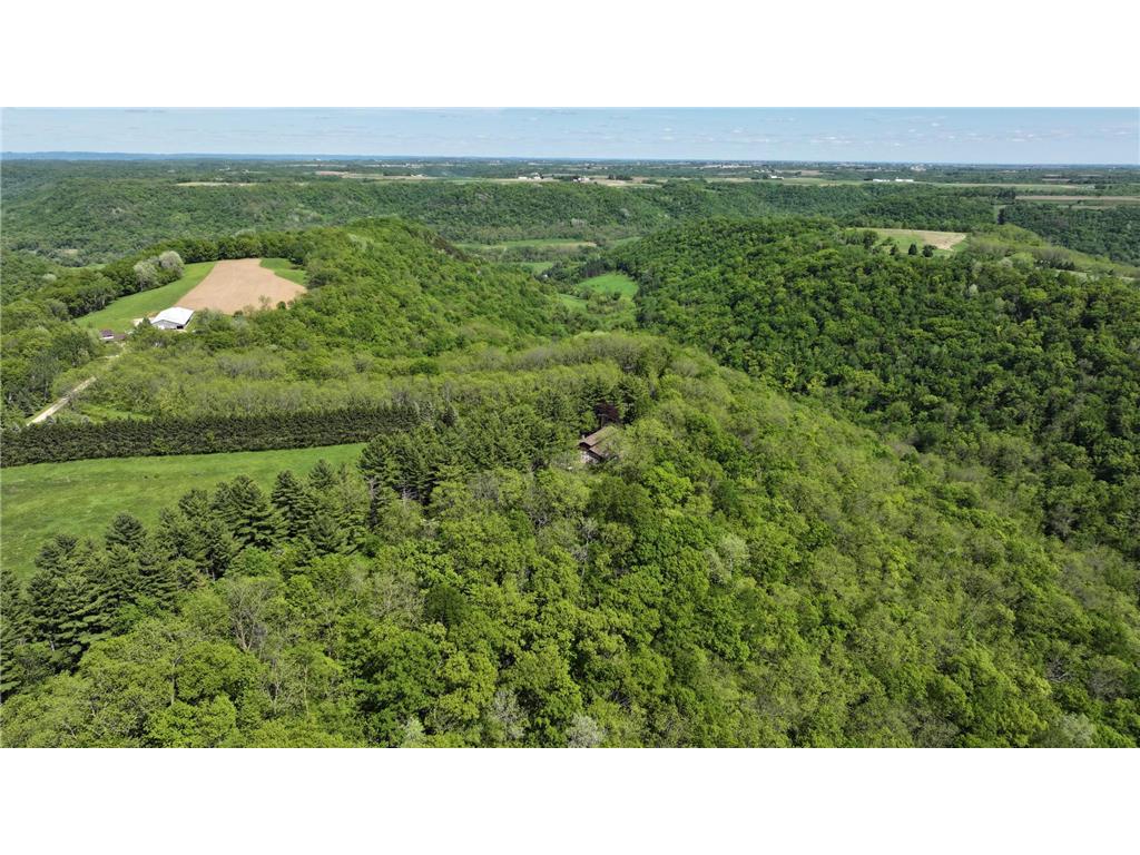 35423 Skyview Drive Homer Twp MN 55987 7066575 image99