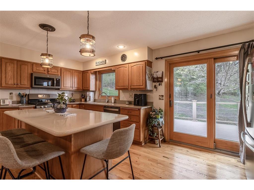 35425 Shakpays Cove Road Kasota Twp MN 56050 7082860 image10
