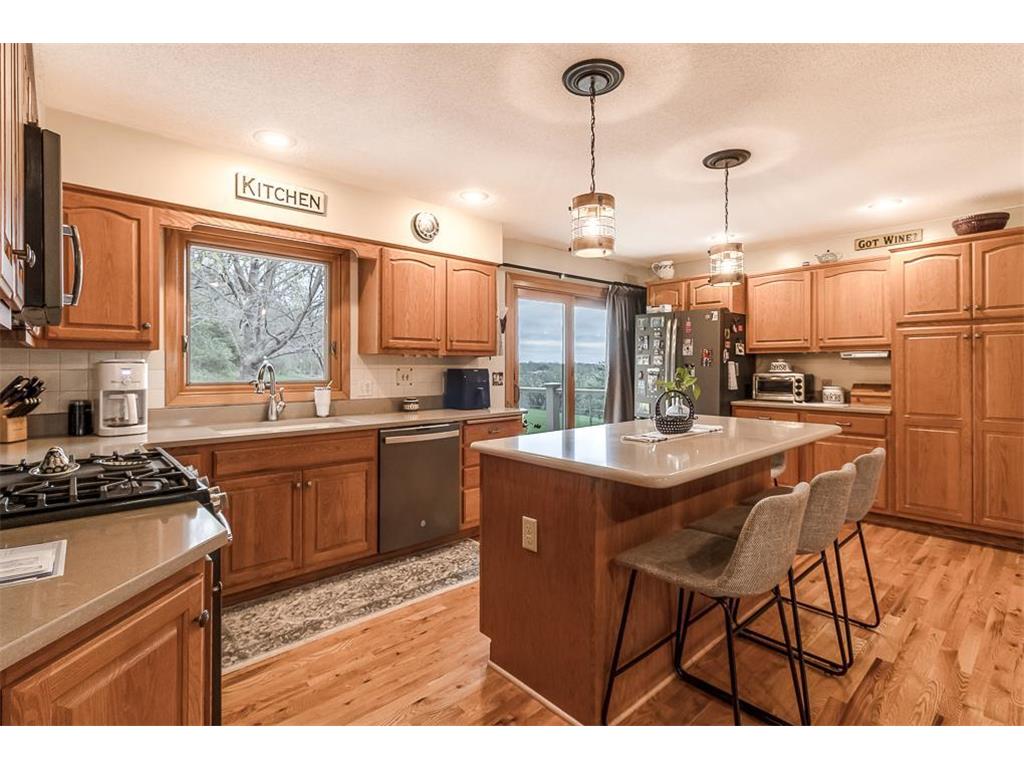 35425 Shakpays Cove Road Kasota Twp MN 56050 7082860 image11