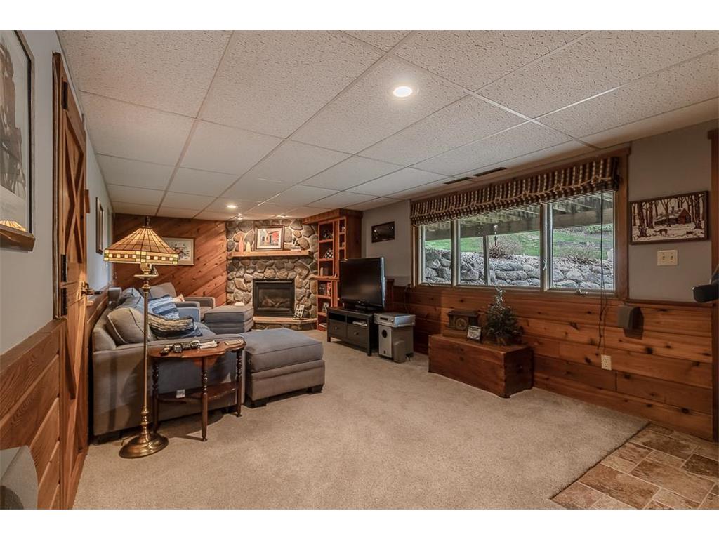 35425 Shakpays Cove Road Kasota Twp MN 56050 7082860 image24