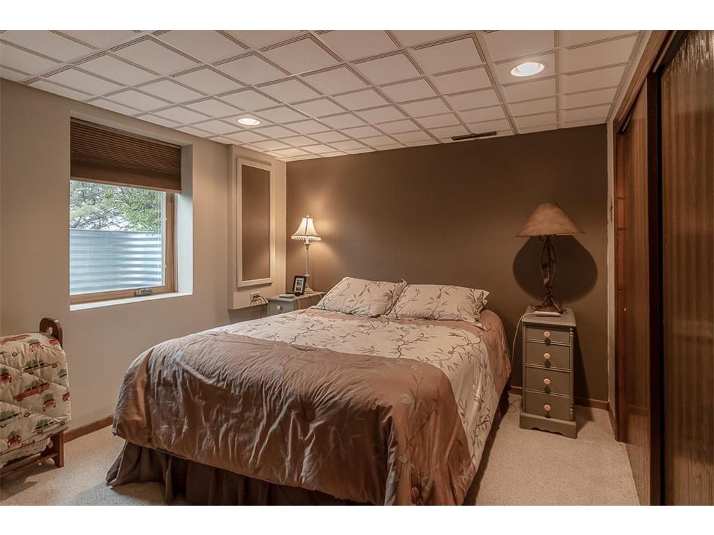 35425 Shakpays Cove Road Kasota Twp MN 56050 7082860 image28