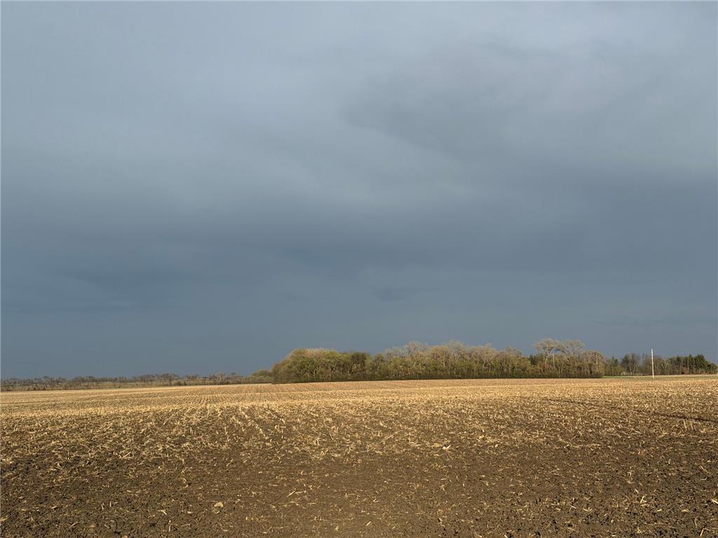 3544 250th Street Lac Qui Parle Twp MN 56232 7074616 image1