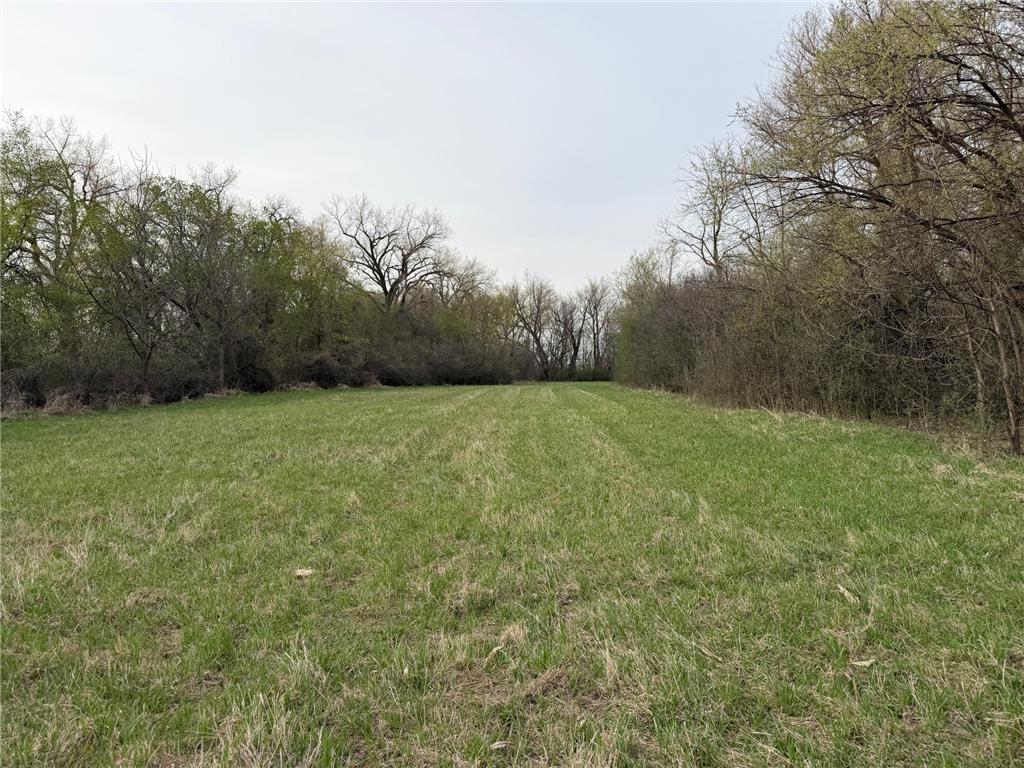 3544 250th Street Lac Qui Parle Twp MN 56232 7074616 image28