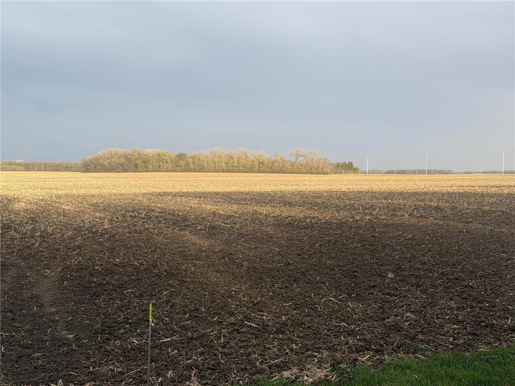 3544 250th Street Lac Qui Parle Twp MN 56232 7074616 image3