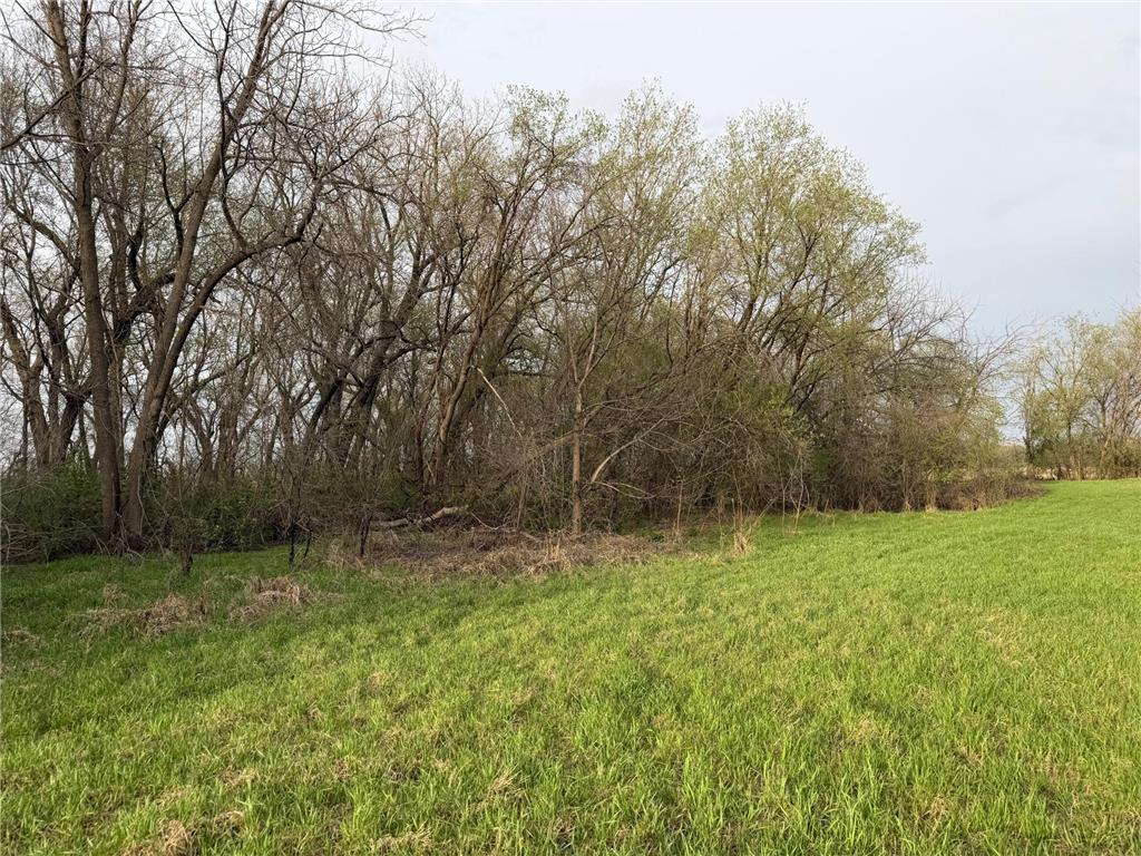 3544 250th Street Lac Qui Parle Twp MN 56232 7074616 image31