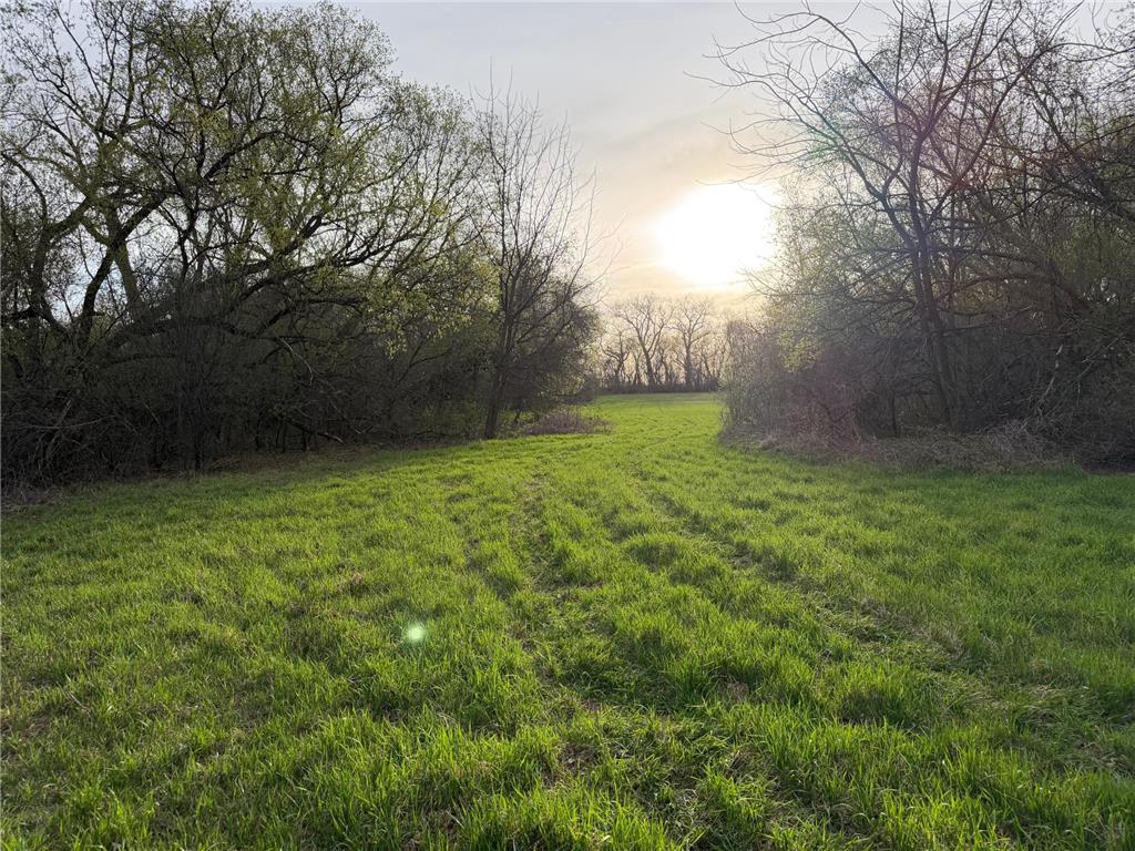 3544 250th Street Lac Qui Parle Twp MN 56232 7074616 image32