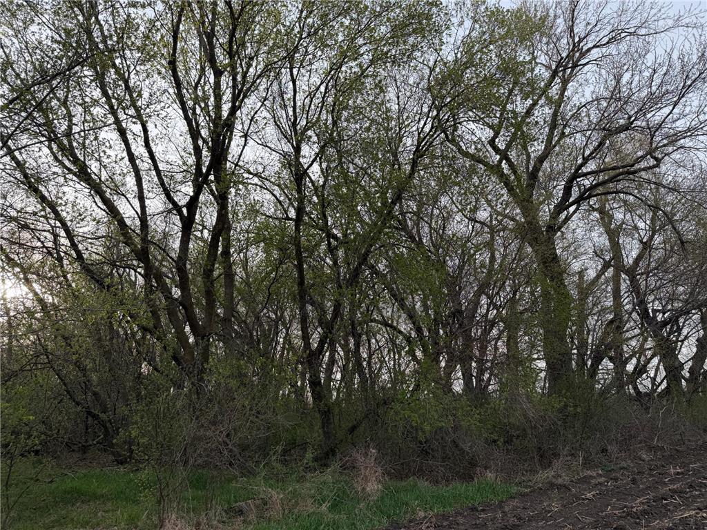 3544 250th Street Lac Qui Parle Twp MN 56232 7074616 image33
