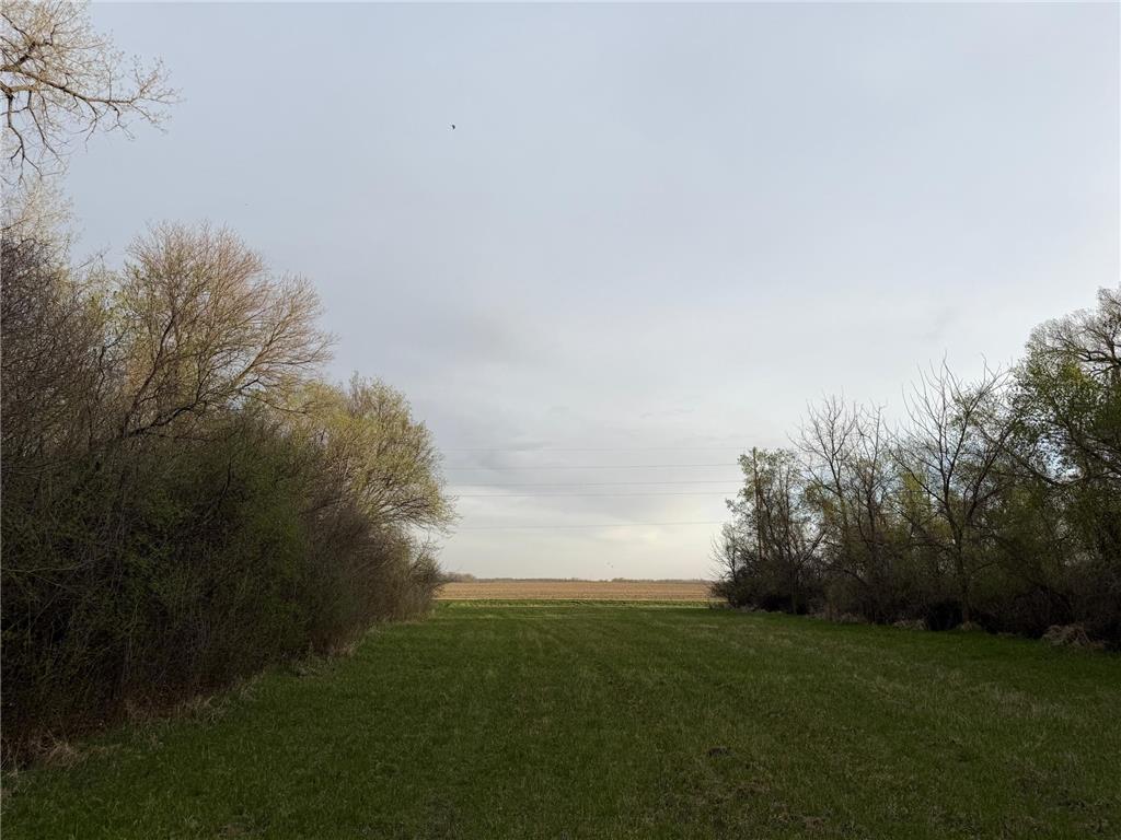 3544 250th Street Lac Qui Parle Twp MN 56232 7074616 image34