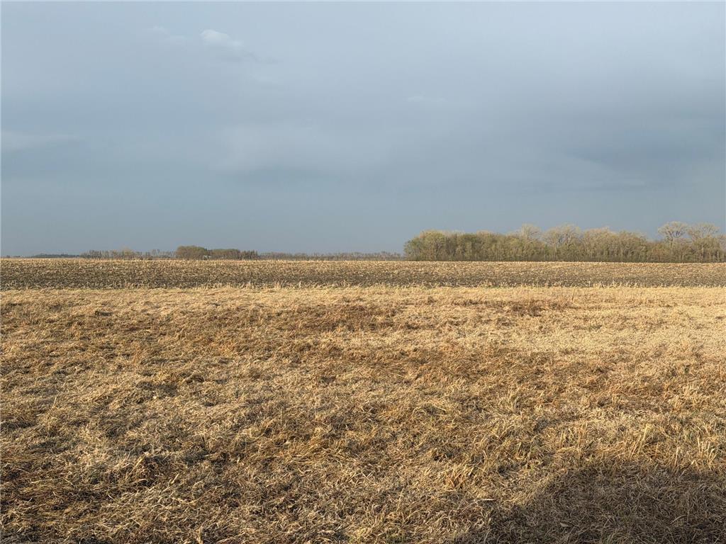 3544 250th Street Lac Qui Parle Twp MN 56232 7074616 image4
