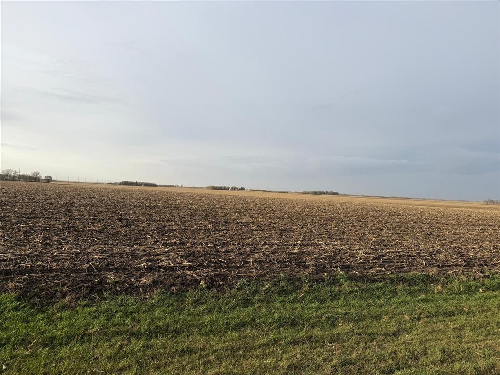 3544 250th Street Lac Qui Parle Twp MN 56232 7074616 image5