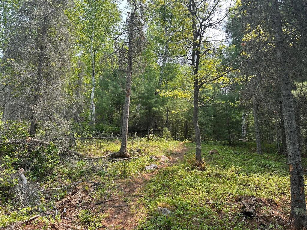 3547 Norway Lane Ely MN 55731 - Everett 6728891 image17