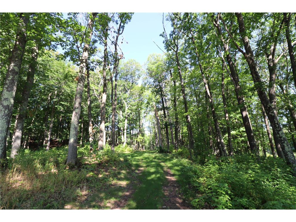 35480 Whitetail Avenue Bayfield WI 54814 6802117 image11