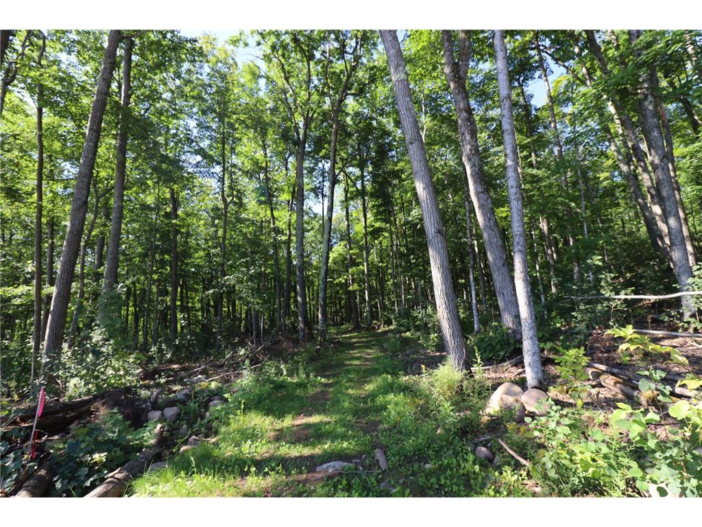 35480 Whitetail Avenue Bayfield WI 54814 6802117 image19