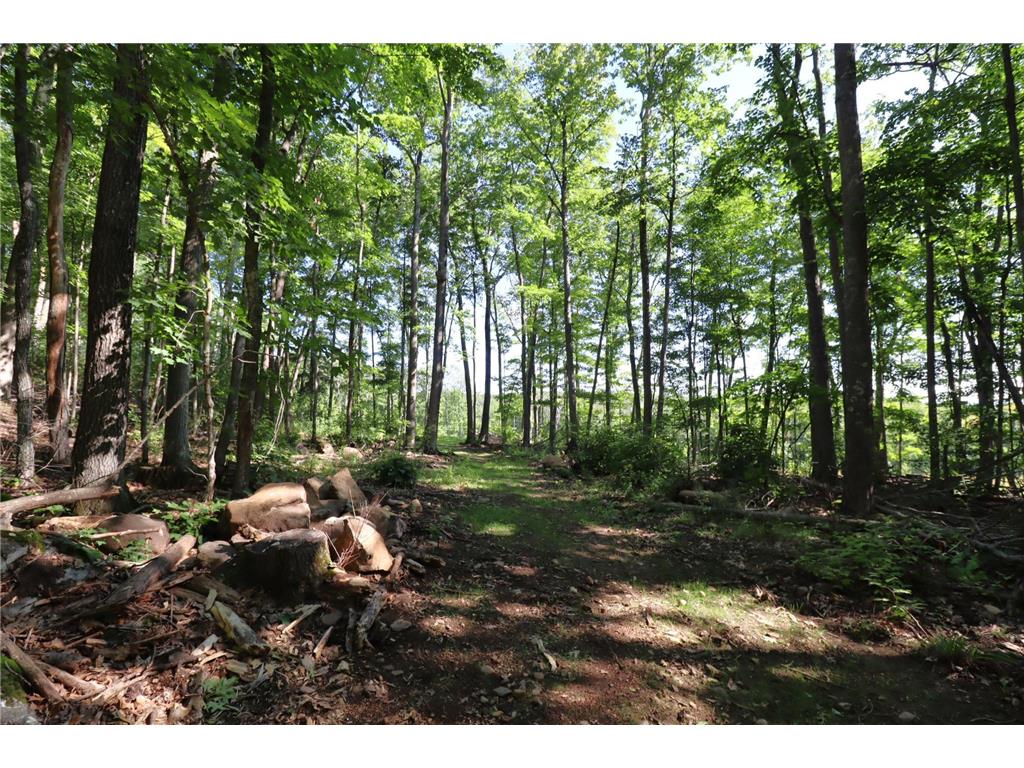 35480 Whitetail Avenue Bayfield WI 54814 6802117 image21