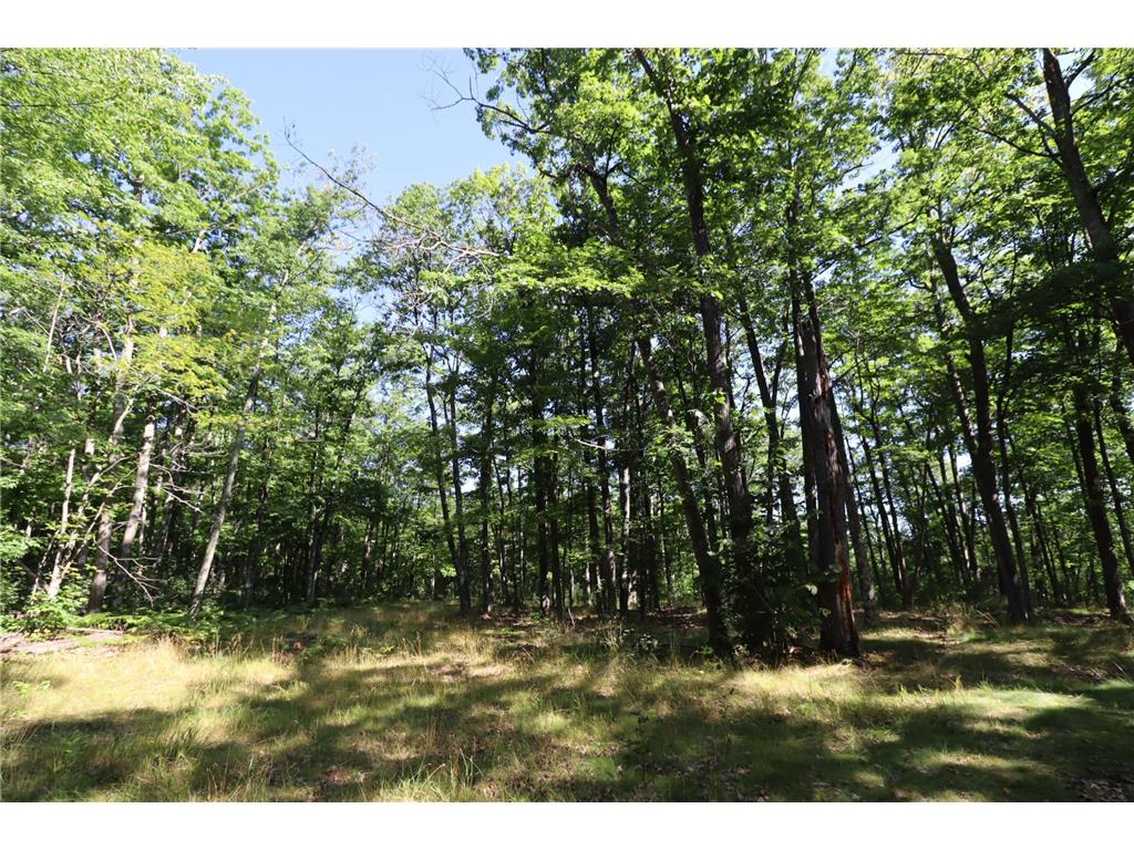 35480 Whitetail Avenue Bayfield WI 54814 6802117 image28