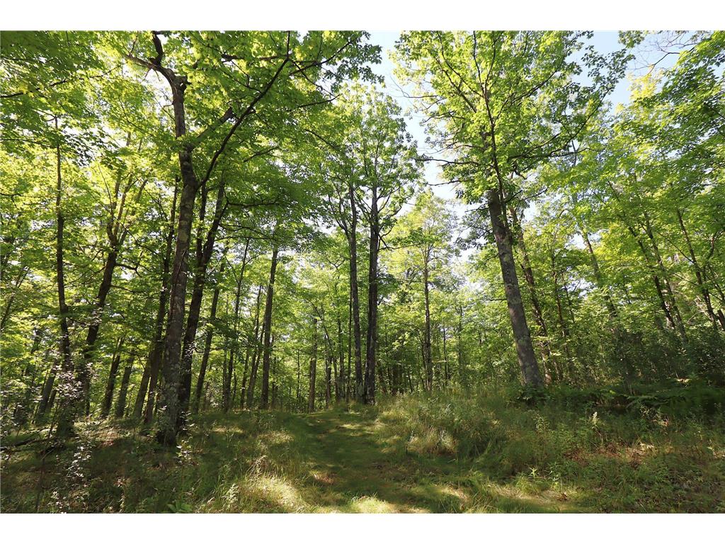 35480 Whitetail Avenue Bayfield WI 54814 6802117 image29