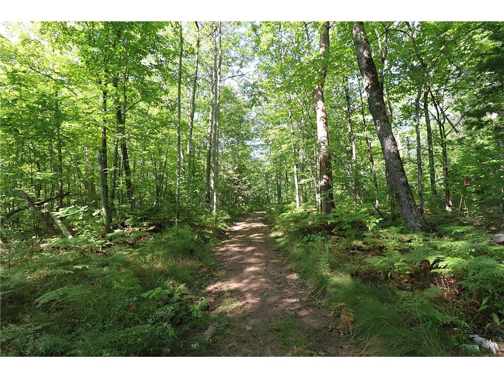 35480 Whitetail Avenue Bayfield WI 54814 6802117 image30