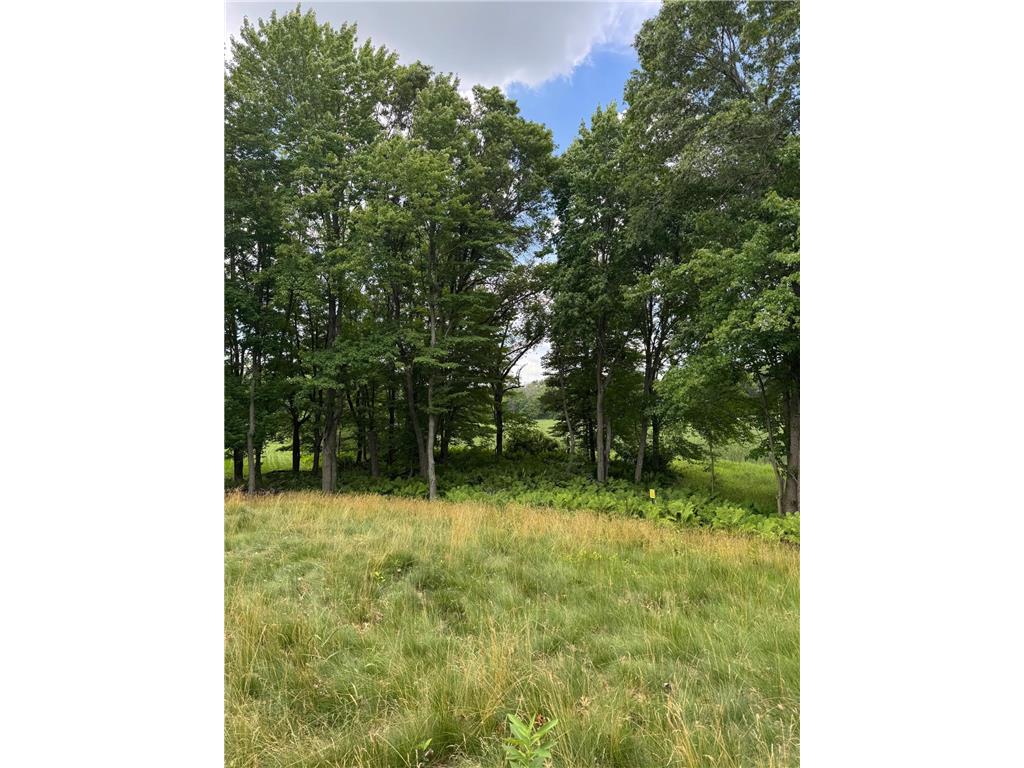 355 176th Lane NE Ham Lake MN 55304 7104461 image10