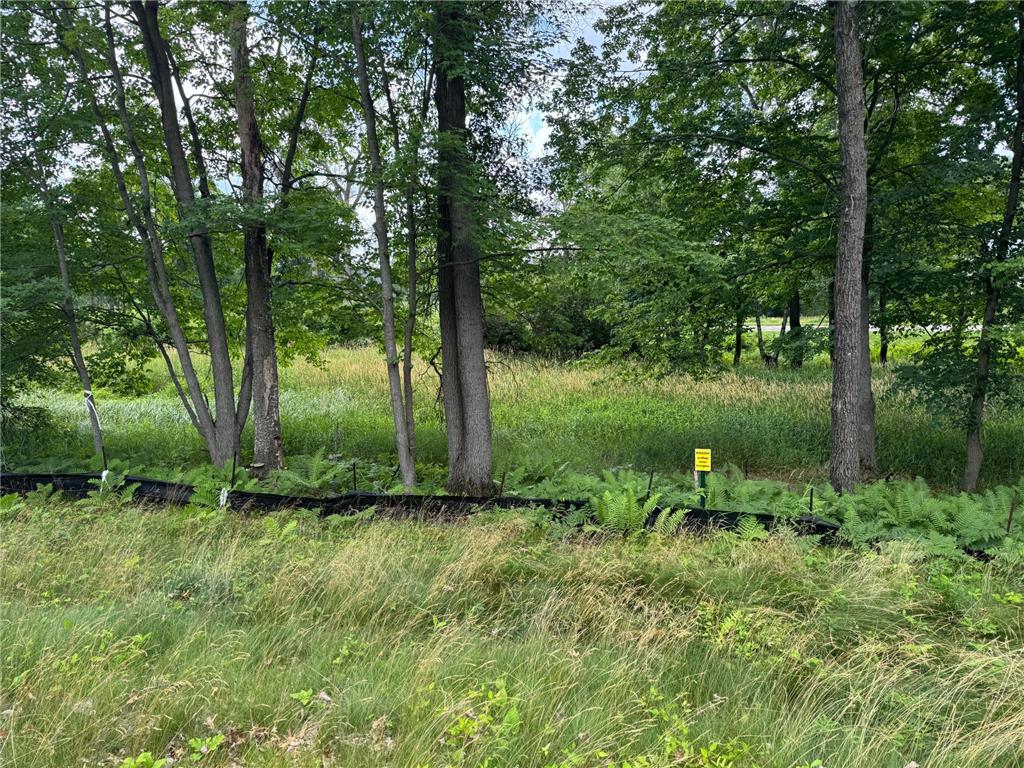 355 176th Lane NE Ham Lake MN 55304 7104461 image11