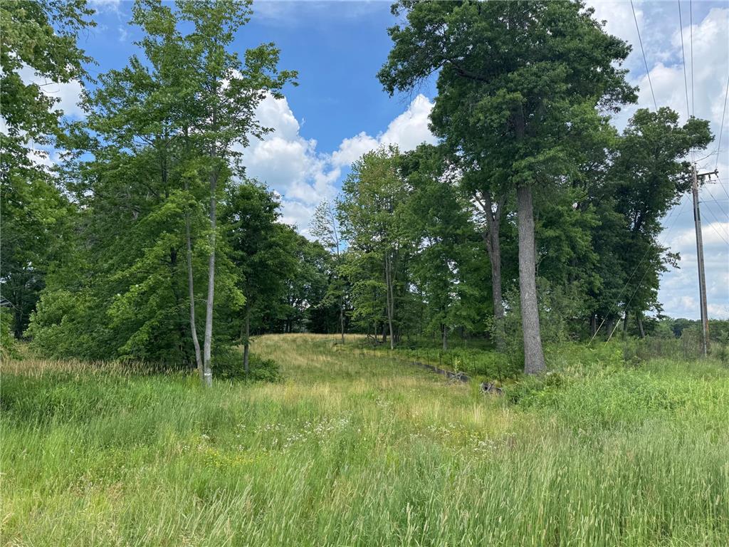 355 176th Lane NE Ham Lake MN 55304 7104461 image2
