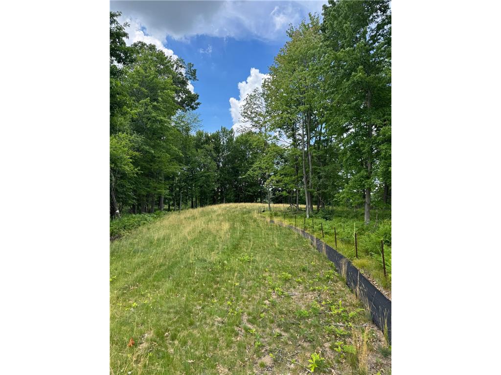 355 176th Lane NE Ham Lake MN 55304 7104461 image3