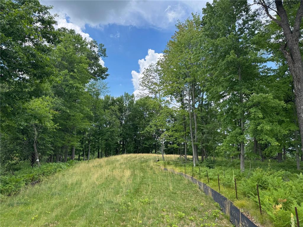 355 176th Lane NE Ham Lake MN 55304 7104461 image4