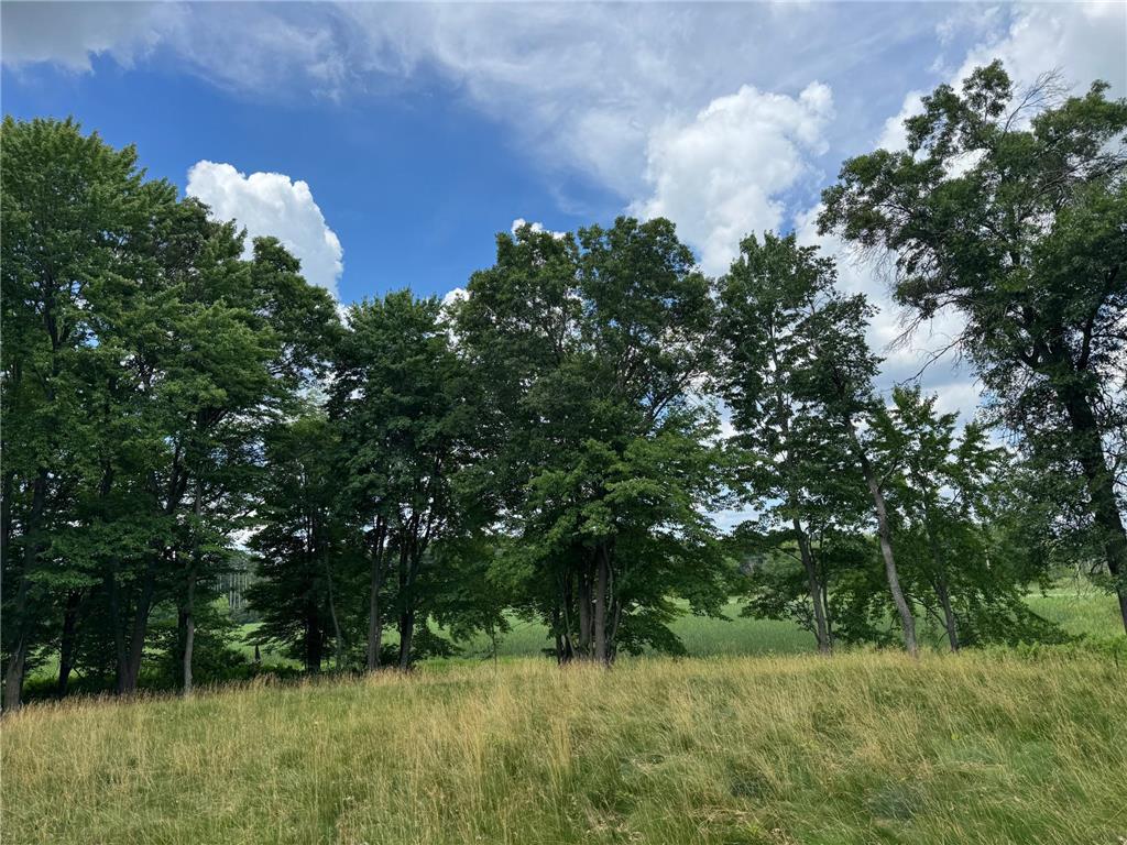 355 176th Lane NE Ham Lake MN 55304 7104461 image6