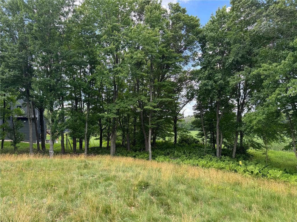 355 176th Lane NE Ham Lake MN 55304 7104461 image7