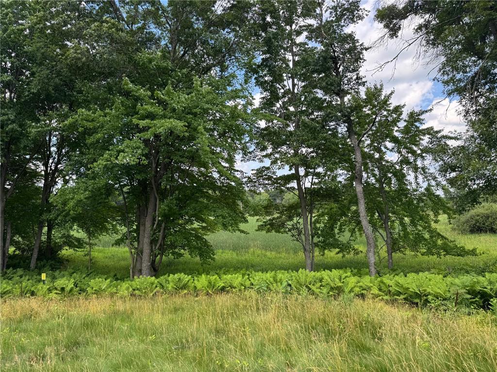 355 176th Lane NE Ham Lake MN 55304 7104461 image8